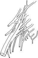 SACRP.CMX