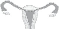 REPROF.CMX