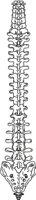 PSPIN.CMX
