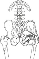 PHIPM.CMX