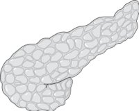 PANCREAT.CMX