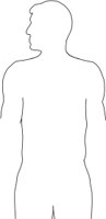 OTORSO.CMX