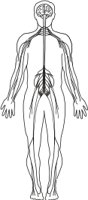 NERVE.CMX