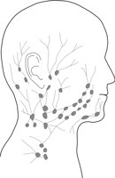 LYMPHSYS.CMX
