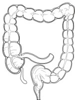 LINTC.CMX