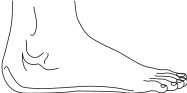 LFOOT.CMX