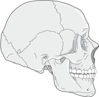 LATSKULL.CMX