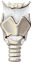 LARYNX.CMX