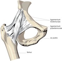 JOINT3.CMX