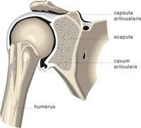 JOINT2.CMX
