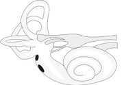 INNEREAR.CMX