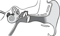 INER_EAR.CMX