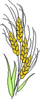 WHEAT.WMF