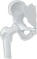 HIPJOINT.CMX