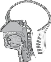 HEADNEK.CMX
