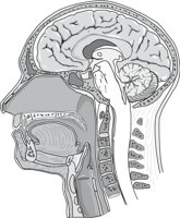 HEADN3.CMX