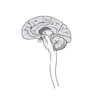 HEADN2.CMX