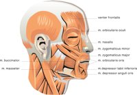 HEAD2.CMX
