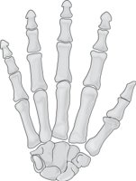 HANDT.CMX