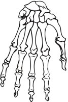 HANDBONE.CMX