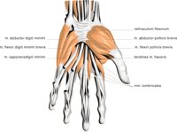 HAND6.CMX