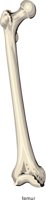 FEMUR2.CMX