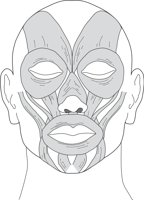 FACLMUSC.CMX