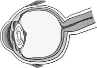 EYEINT.CMX