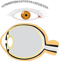 EYE.CMX