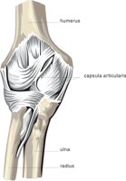 ELBOW.CMX