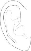 EAREXT2.CMX