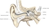 EAR3.CMX