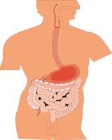 DIGESTSY.CMX