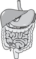 DIGESTIV.CMX