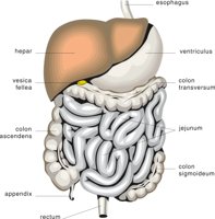 DIGEST3.CMX