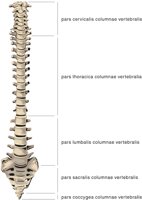 COLUMN2.CMX