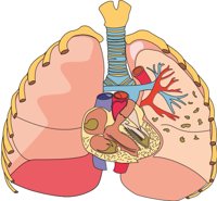 CHEST_C.CMX