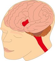 BRAIN2.CMX