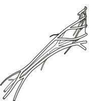 BRACP.CMX