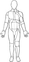 BODYFRNT.CMX
