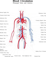 BLOODCIR.CMX