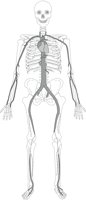 ARTERTOT.CMX