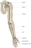 ARM4.CMX
