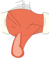 APPENDIX.CMX