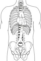 AORTA.CMX