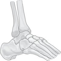 ANKLEJNT.CMX