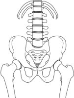 AHIPS.CMX