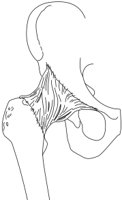 AHIPJ.CMX