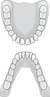 TEETHVIV.CMX