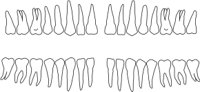TEETH1.CMX